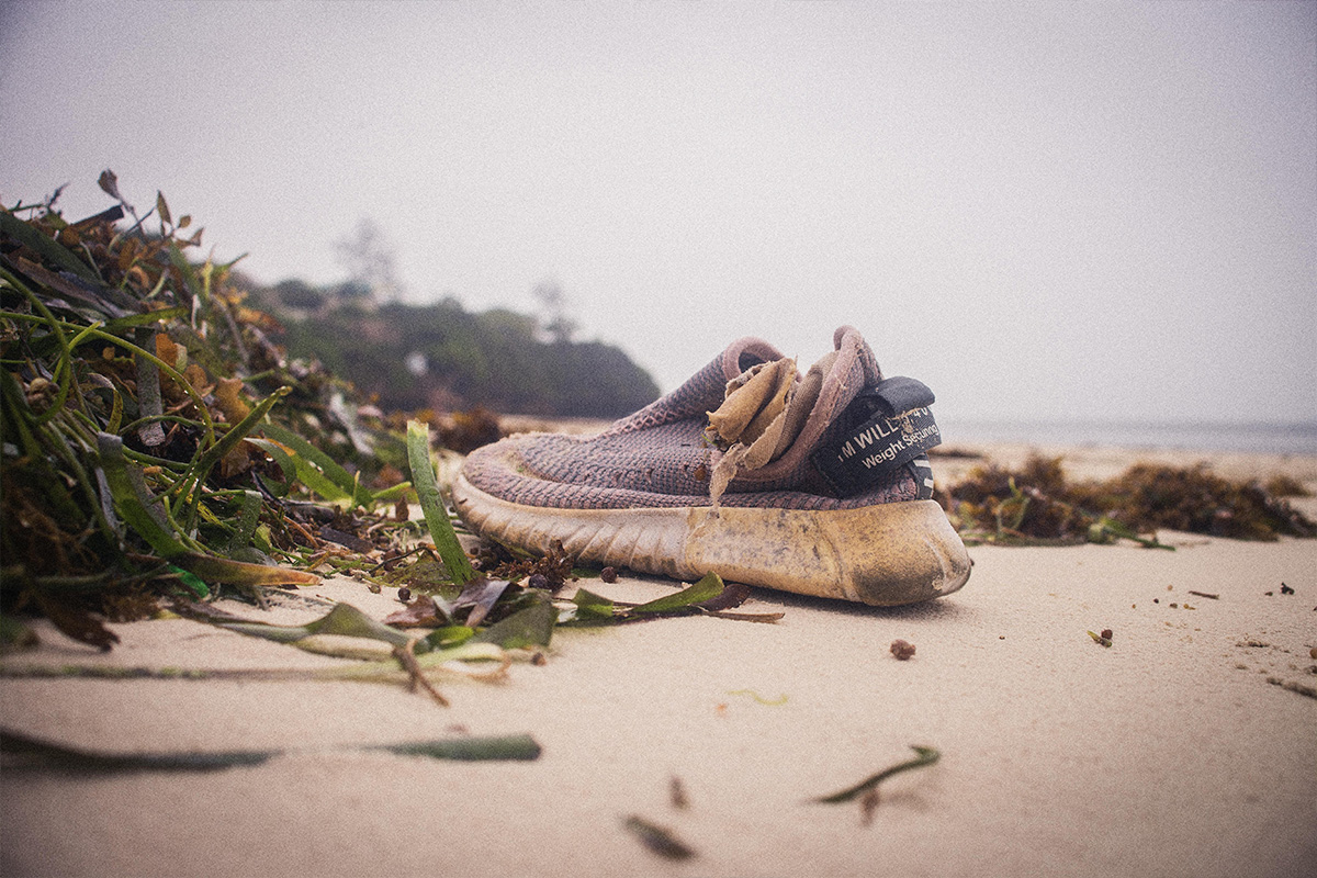 beach cleaning and the safety of turtles
