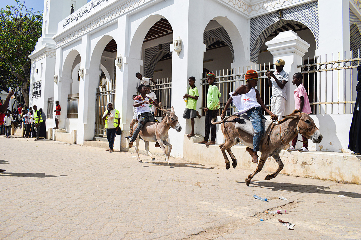 The donkey race competition in the Lamu cultural festival
