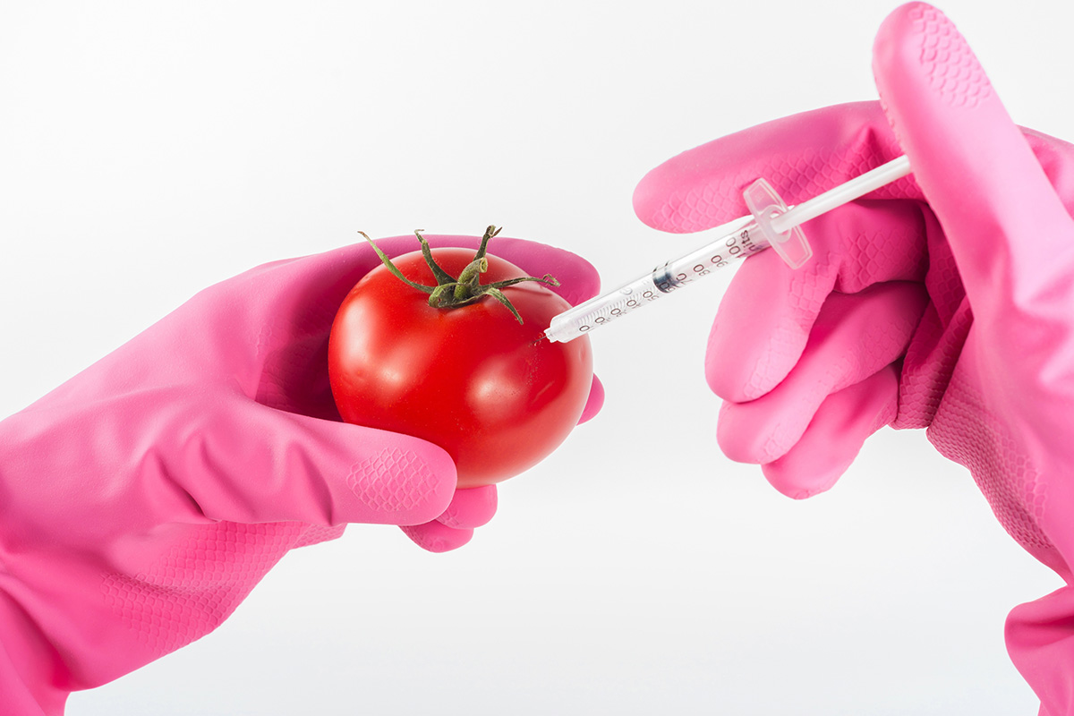 GMO FOODS: WHAT’S THE REAL COST TO HUMANS AND THE ENVIRONMENT