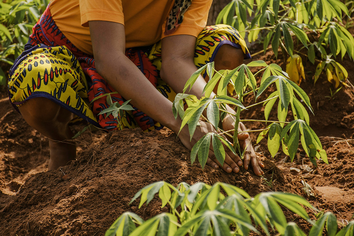 AGRA Doubles Down on Harmful Policies – AGRA’s policy influence exposed