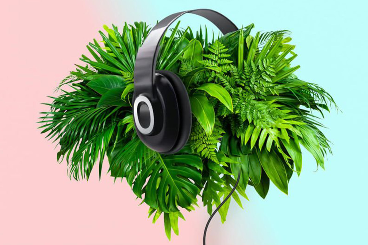 Conversation with a plant