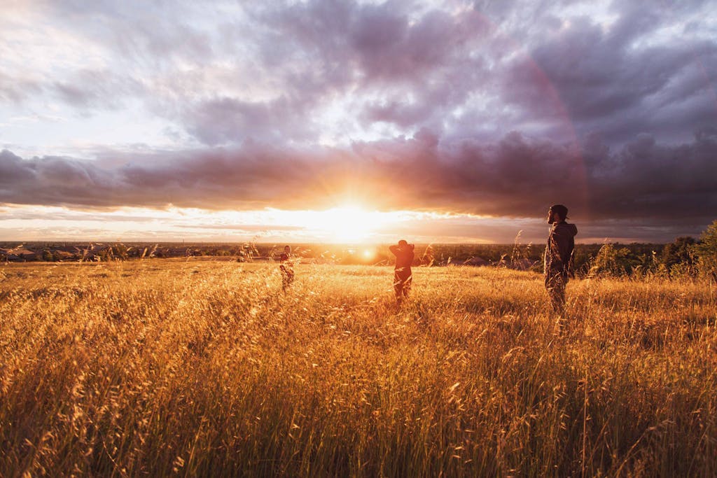 A beautiful sunset over a field with people enjoying the serene view.
