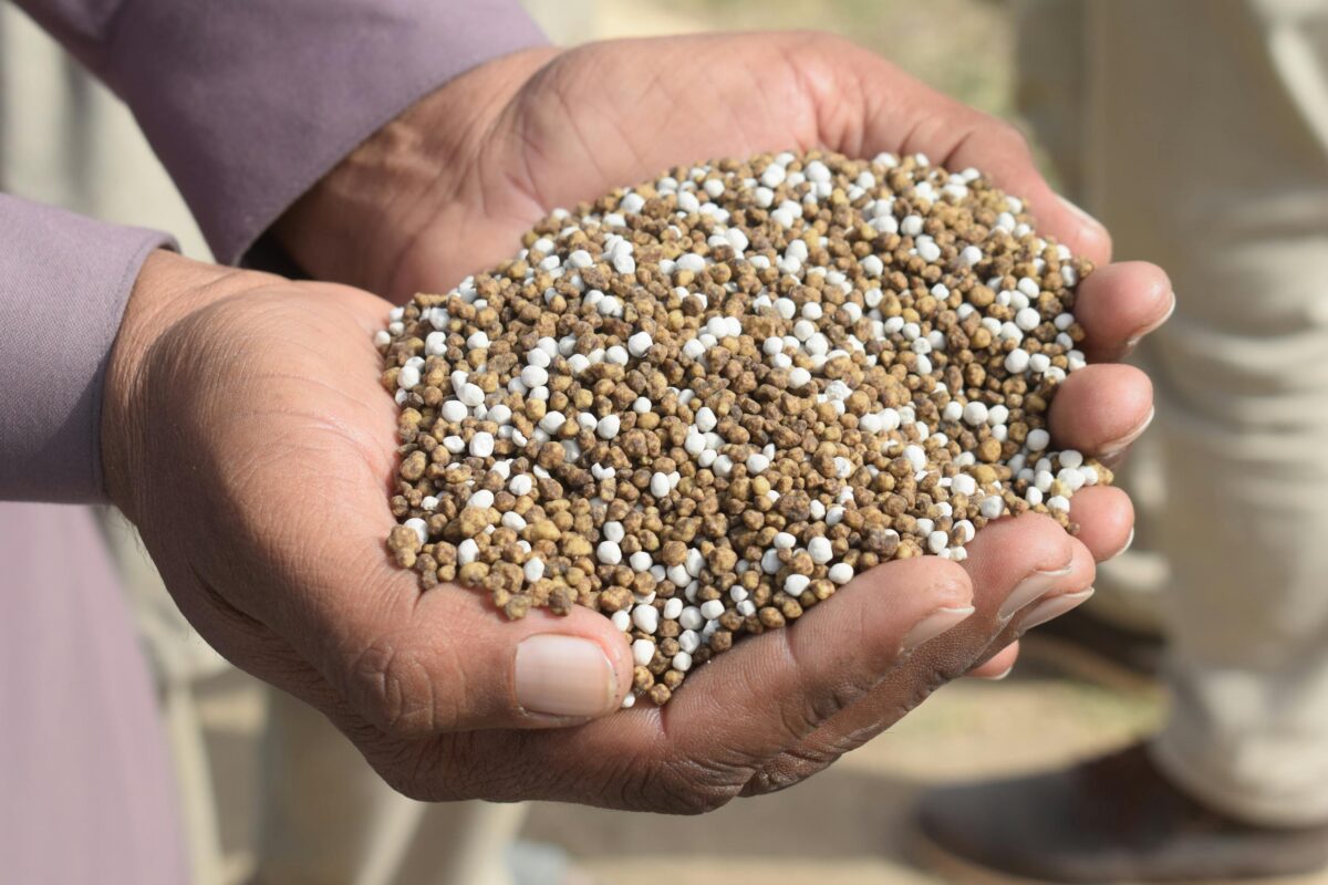 Close-up of hands holding granular fertilizer in Bahawalpur, Pakistan.