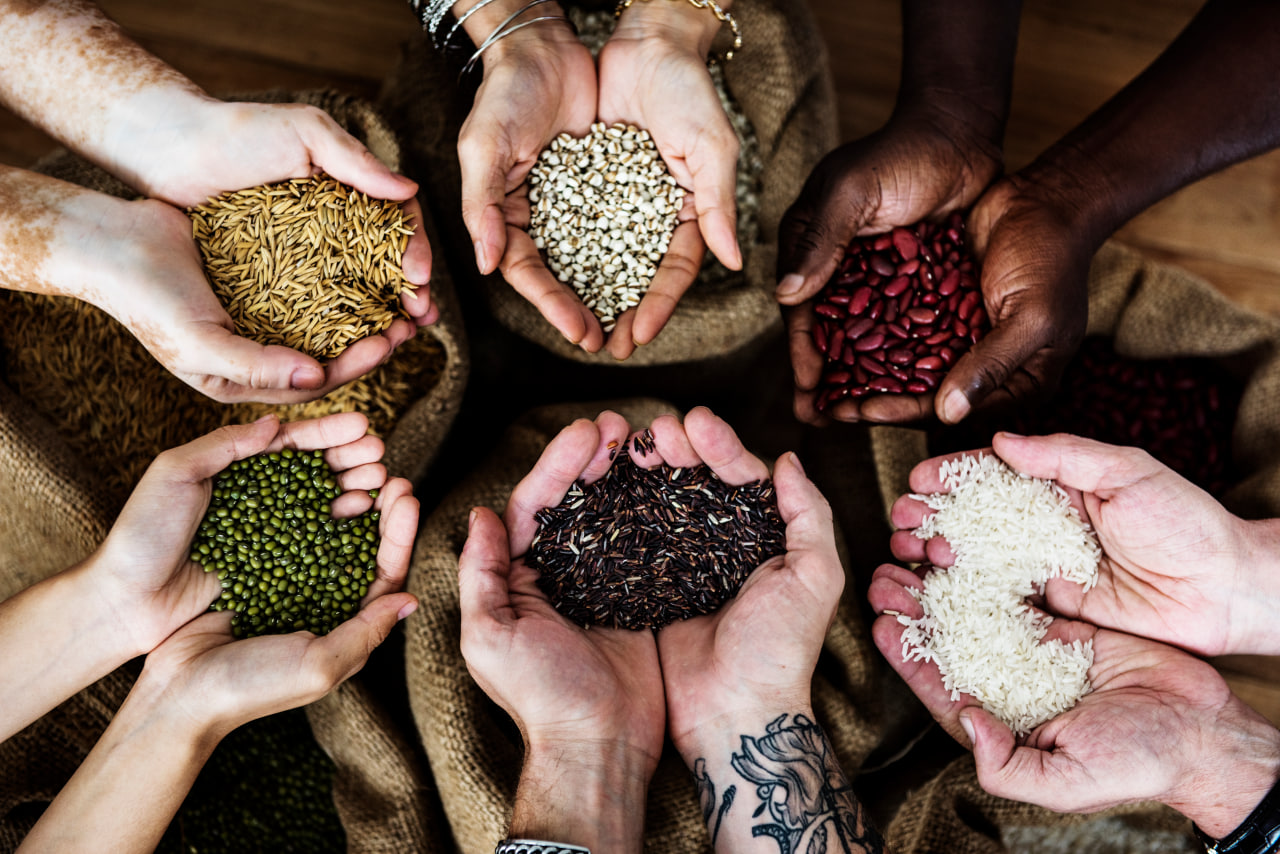 Njia Ya Mbegu – The way of Seeds