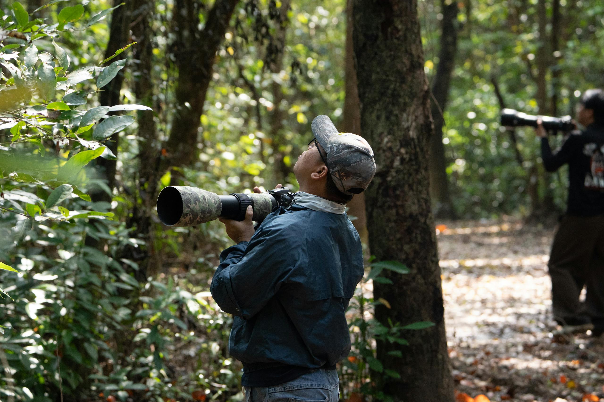 Two birdwatchers in a lush forest, equipped with cameras and telephoto lenses, observing wildlife.