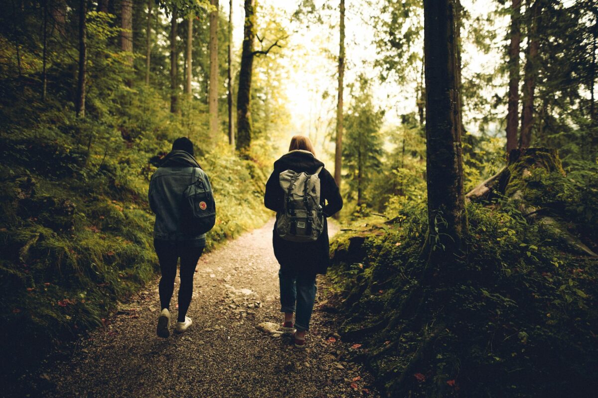 Two friends walk along a forest path, enveloped by lush greenery and tall trees.
