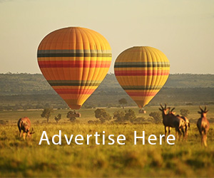 advert.jpg